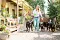 2013-Fressnapf-Gordon-Setter-Shizu-010-1024x683.jpg
