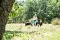 2013-Fressnapf-Gordon-Setter-Shizu-018-1024x683.jpg