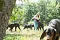 2013-Fressnapf-Gordon-Setter-Shizu-020-1024x683.jpg