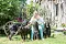 2013-Fressnapf-Gordon-Setter-Shizu-043-1024x683.jpg