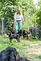 2013-Fressnapf-Gordon-Setter-Shizu-078-683x1024.jpg