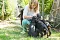 2013-Fressnapf-Gordon-Setter-Shizu-081-1024x683.jpg