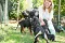 2013-Fressnapf-Gordon-Setter-Shizu-082-1024x683.jpg