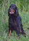 DSC-0071-739x1024.jpg