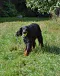 DSC-0095-813x1024.jpg