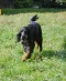 DSC-0097-838x1024.jpg