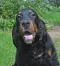 dsc_0011_926x1024.jpg