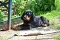 dsc_0054_1024x678.jpg