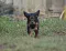 dsc_0267_2.jpg