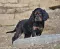 dsc_0299_2.jpg