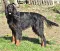 17.03.2019_026bearbeitet.jpg