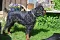 dsc_0007_800x530.jpg
