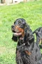 dsc_0067.jpg