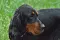 dsc_0007_800x530.jpg