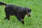 dsc_0010_800x530.jpg