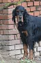 dsc_0078_670x1024.jpg