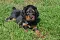 10_dsc_0013_800x530.jpg