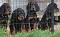 1_dsc_0005_800x495.jpg