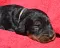 1_dsc_0015.jpg