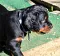 1_dsc_0021.jpg