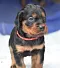 1_dsc_0043_15rot.jpg