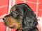 1_dsc_0051_800x603.jpg