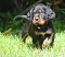 1_dsc_0171.jpg