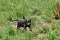 1_dsc_0505_800x530.jpg