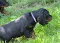 2_dsc_0017.jpg