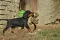 3.10.2018_249.jpg