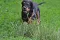 5_dsc_0125_800x530.jpg
