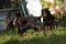 5_dsc_0212_800x530.jpg