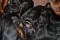 6_dsc_0019_800x530.jpg