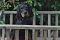 9_dsc_0015_800x530.jpg