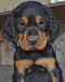 dsc_0009_631x800.jpg
