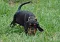dsc_0012_800x563.jpg