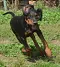 dsc_0014_716x800.jpg