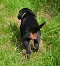 dsc_0014_930x1024.jpg