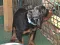 dsc_0016_4.jpg