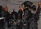 dsc_0017_1024x734.jpg