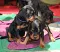dsc_0019_2.jpg