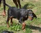dsc_0019_800x645.jpg