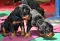 dsc_0020_2.jpg