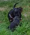 dsc_0021_687x800.jpg
