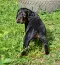 dsc_0021_939x1024.jpg