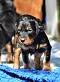 dsc_0025_15grn.jpg