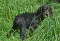 dsc_0025_800x549.jpg