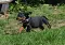 dsc_0033_800x566.jpg