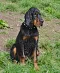 dsc_0035_662x800.jpg