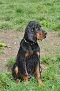 dsc_0037_530x800.jpg